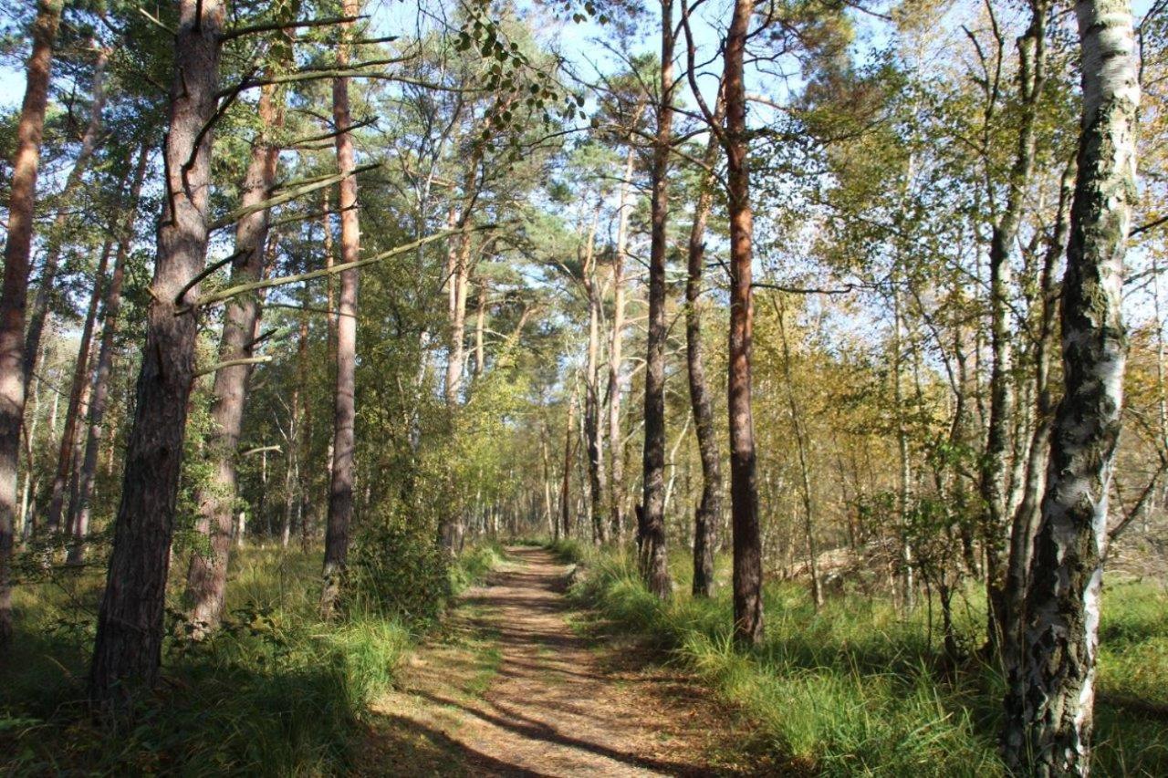 Ferienwohnung Fledermaus Gelbensande Экстерьер фото